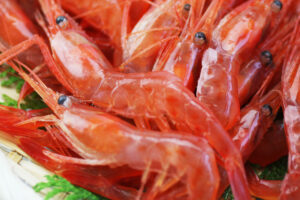 【超新鮮】佐渡の甘エビ「はねっ娘」とは？