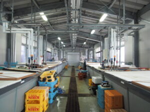 はねっ娘クエスチョン～海洋深層水編～