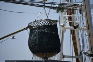 【2022年最新】日本で取れる魚のランキング6選!