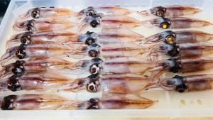 ホタルイカはまずい?その味や美味しいレシピ、旬な時期をご紹介