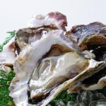 牡蠣はまずい?その味や美味しいレシピ、旬な時期をご紹介