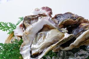 牡蠣はまずい?その味や美味しいレシピ、旬な時期をご紹介
