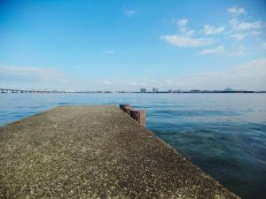 生臭い魚6選~生臭い原因は何だ。そして食べられるの?~