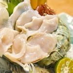 夜光貝はまずい?その味や美味しいレシピ、旬な時期をご紹介