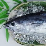 【2022年最新】カツオの値段相場はどれくらい?旬の時期・人気の調理方法もご紹介