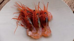 出張料理人ミツさんの「サカマでキャンプ飯」〜甘エビ編①〜