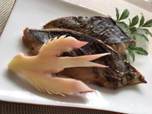 サカマレシピ【サゴシの味噌漬け】