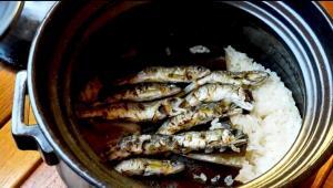 出張料理人ミツさん「サカマでキャンプ飯」〜稚鮎編〜