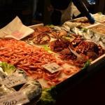 イタリアレポート② ーミラノの鮮魚売り場ー