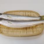 カマスはまずい?その味や美味しいレシピ、旬な時期をご紹介