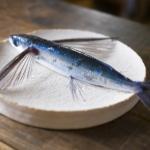 トビウオはまずい?その味や美味しいレシピ、旬な時期をご紹介