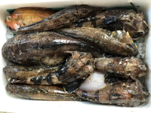 チャレンジフィッシュレシピ「丸の野水産」①