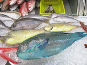 アオブダイはまずい？その味や美味しいレシピ、旬な時期をご紹介