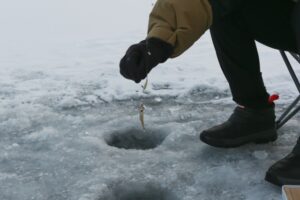 【2022年最新】ワカサギの値段相場はどれくらい？旬の時期・人気の調理方法もご紹介