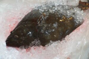 ヒラメはまずい？その味や美味しいレシピ、旬な時期をご紹介