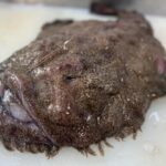 アンコウはまずい?その味や美味しいレシピ、旬な時期をご紹介