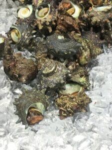 サザエはまずい?その味や美味しいレシピ、旬な時期をご紹介