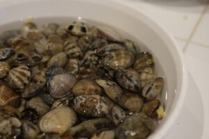 【2022年最新】アサリの値段相場はどれくらい？旬の時期・人気の調理方法もご紹介