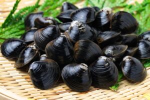 【2022年最新】シジミの値段相場はどれくらい？旬の時期・人気の調理方法もご紹介