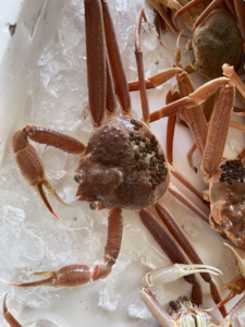 蟹好き必見！かに食べ比べガイド