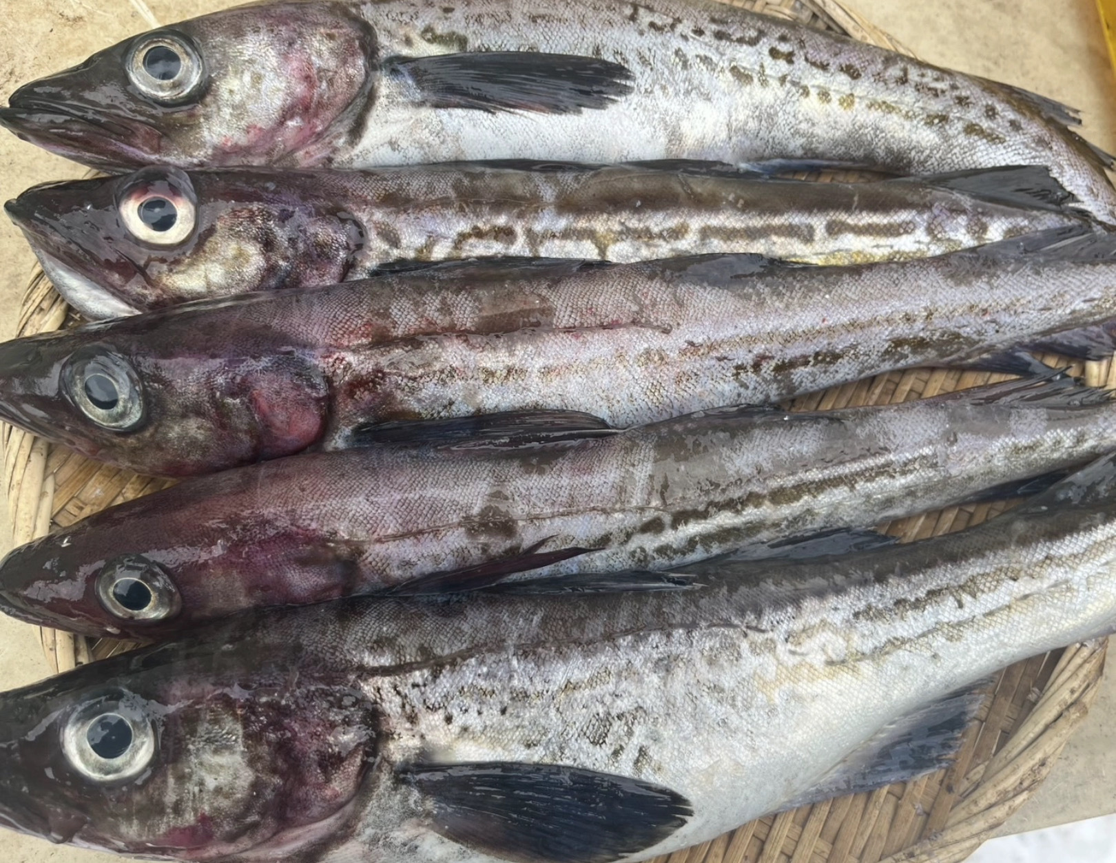 冬のごちそう！旬を迎える魚たちで食卓を彩るアイデア10選