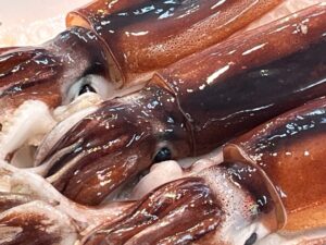 絶品のケンサキイカ！ヤリイカ・スルメイカとの“甘みの頂上決戦”