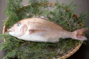 これだけ知ればOK！鯛の種類と特徴を徹底解説