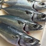 マサバ vs ゴマサバ:味わいと旬の秘密を徹底比較!