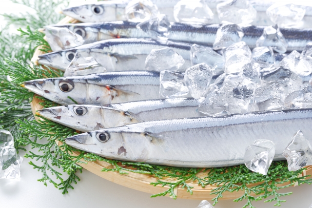 秋の味覚を満喫!秋が旬の魚たち10選