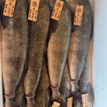 真ほっけvs縞ほっけ」どっちが美味しい？味わいの違いを徹底比較！